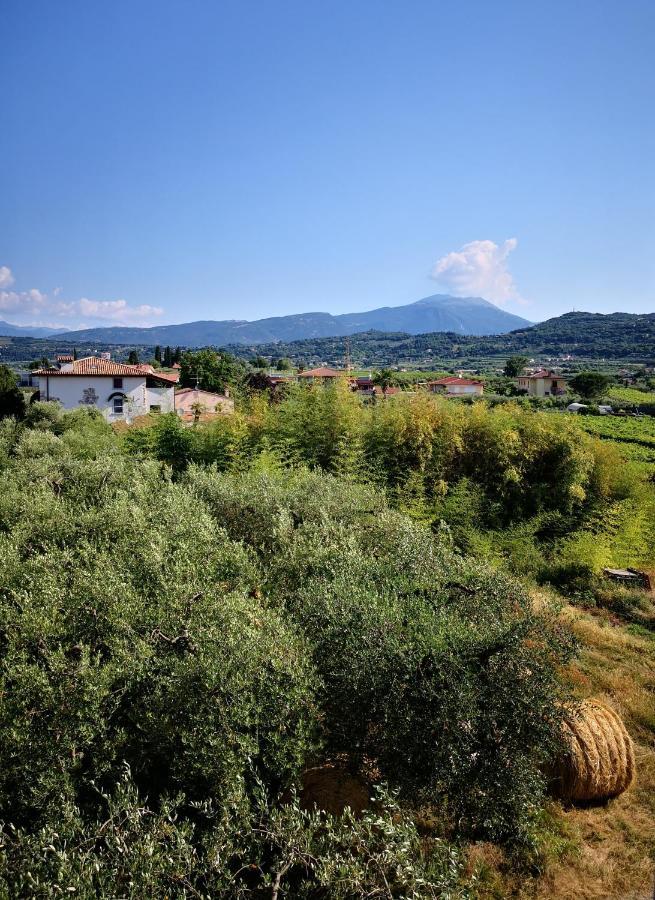 Appartamenti Bellini Bardolino Exteriör bild