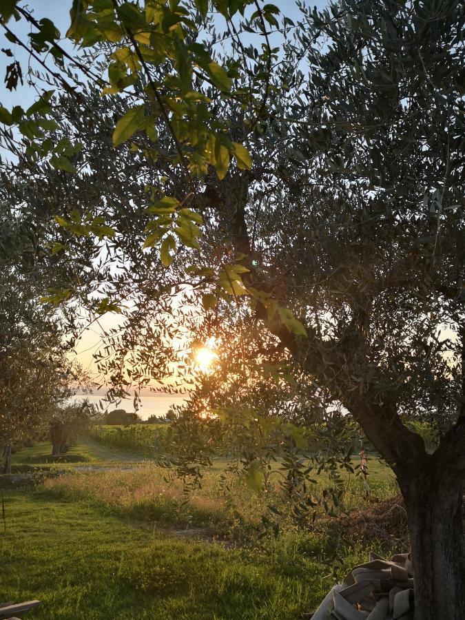 Appartamenti Bellini Bardolino Exteriör bild